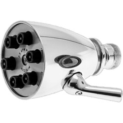 Brass 6-Jet Shower Head